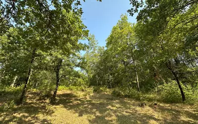 9 Km Périgueux, Sorges (24420)