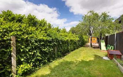 Rueil-Malmaison (92500)