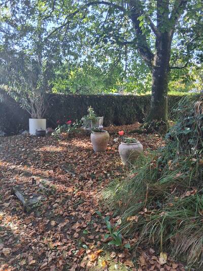 Vente maison 5 pièces Villaines-les-Rochers (37190)