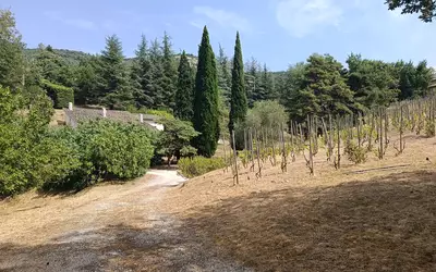 Saint-Péray (07130)