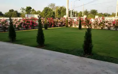 Thaïlande