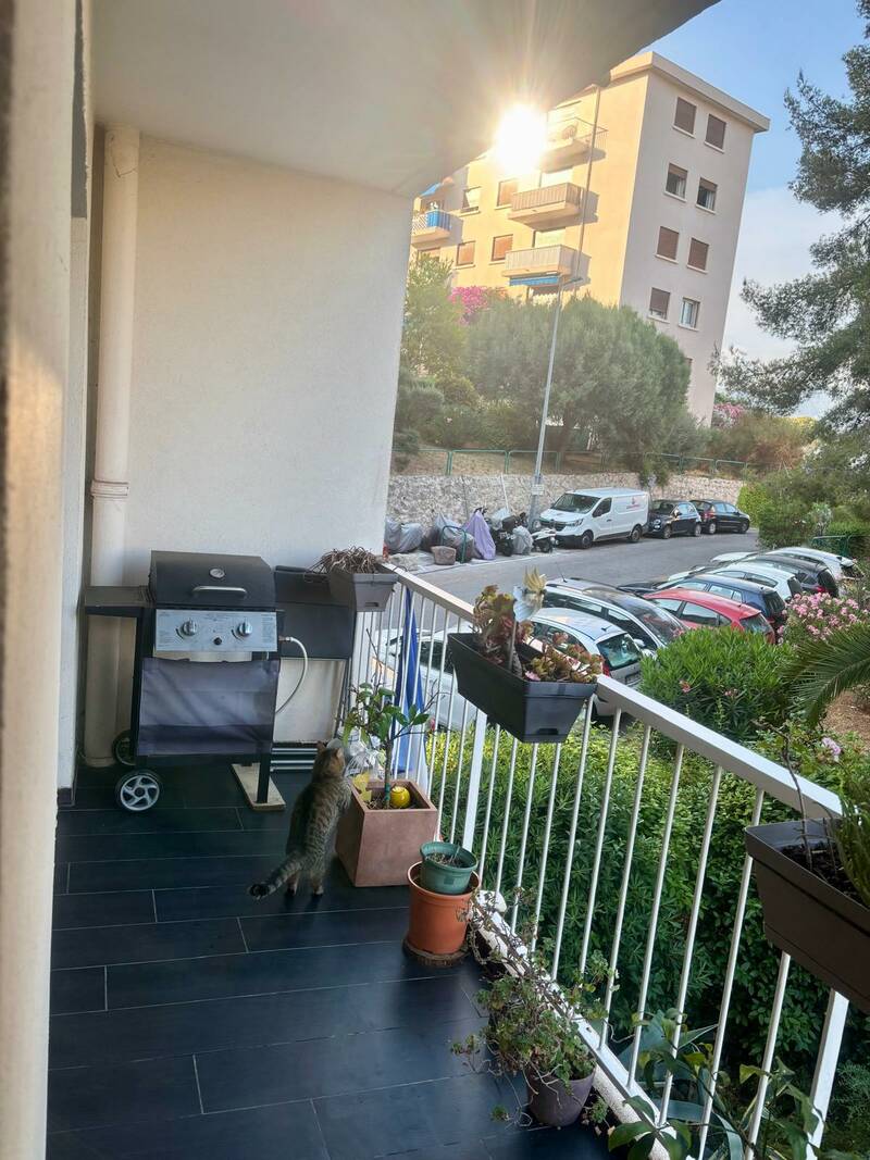 Toulon (83000)