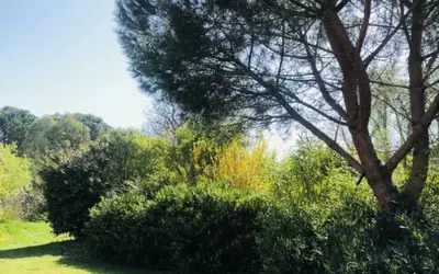 Saint-Sulpice-La-Pointe (81370)