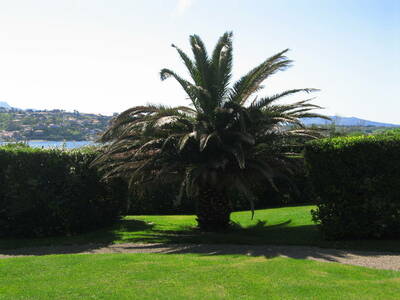 Location appartement studio Saint-Jean-de-Luz (64500)