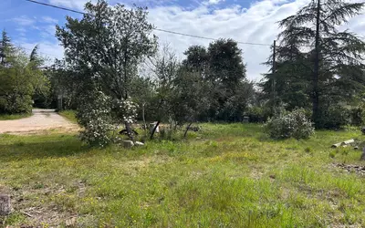 Saint-Maximin-La-Sainte-Baume (83470)