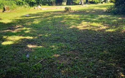 Genas