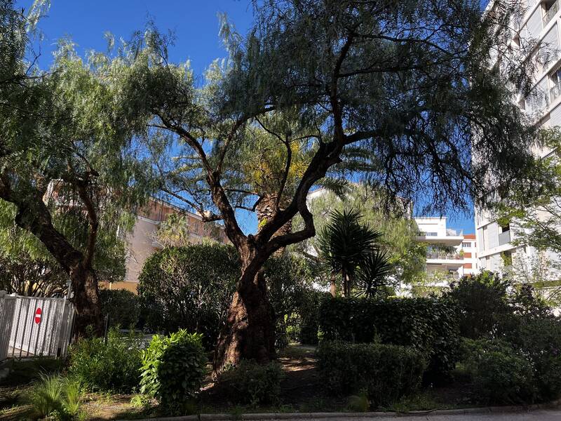 Hyères (83400)