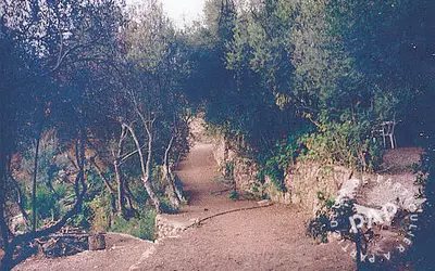 Cargèse (20130)