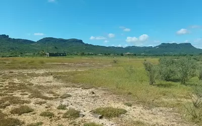 Madagascar