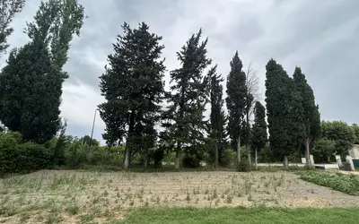 Barbentane (13570)