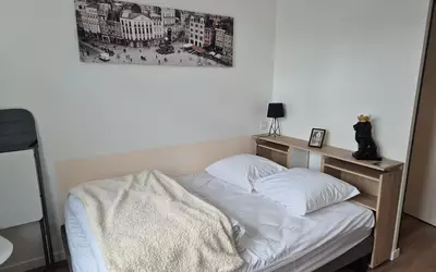 Lille (59000)
