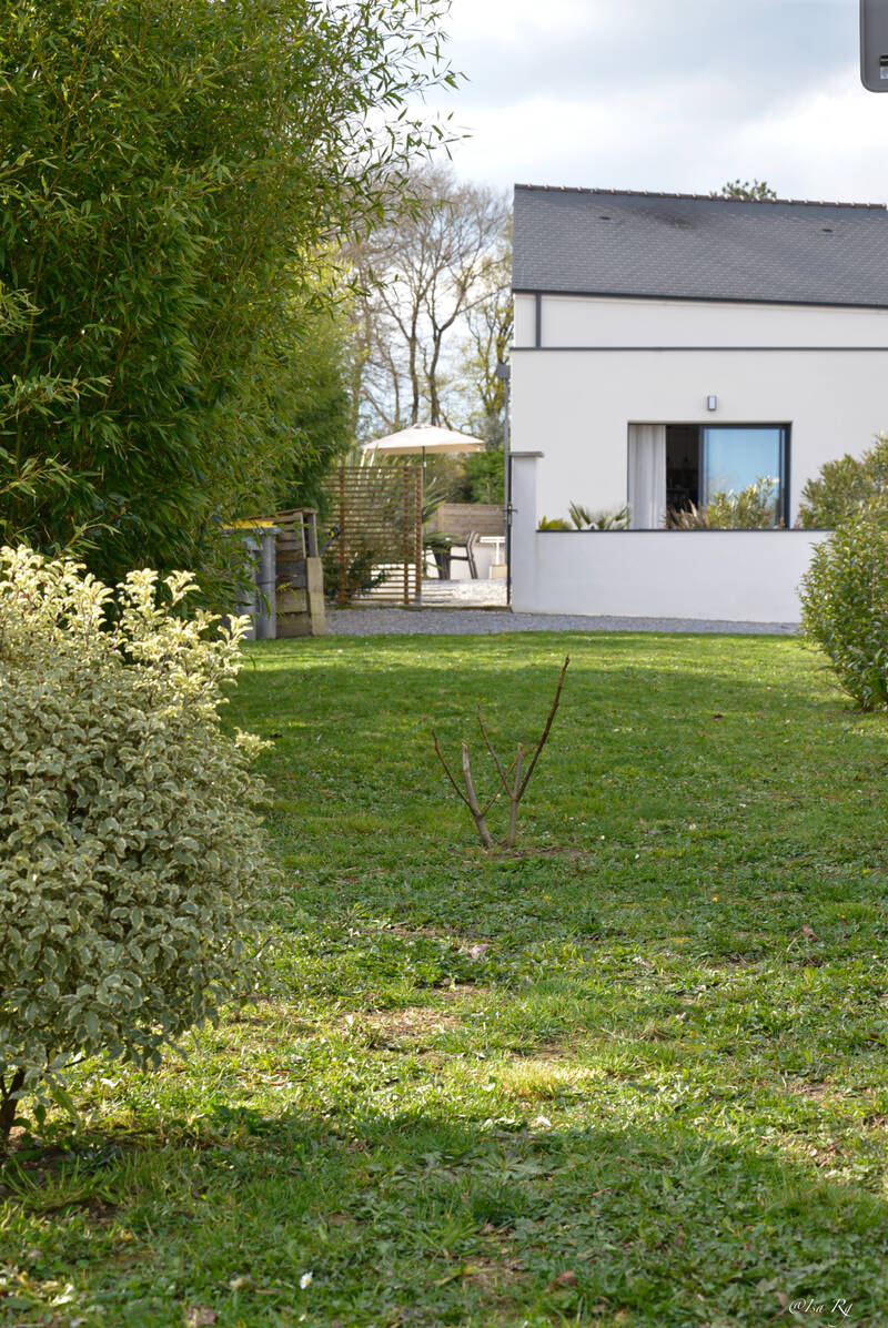 Casson (44390)