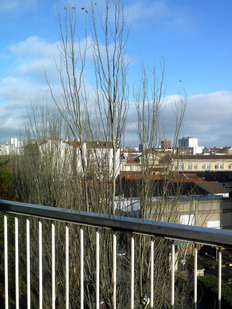 Aubervilliers (93300)