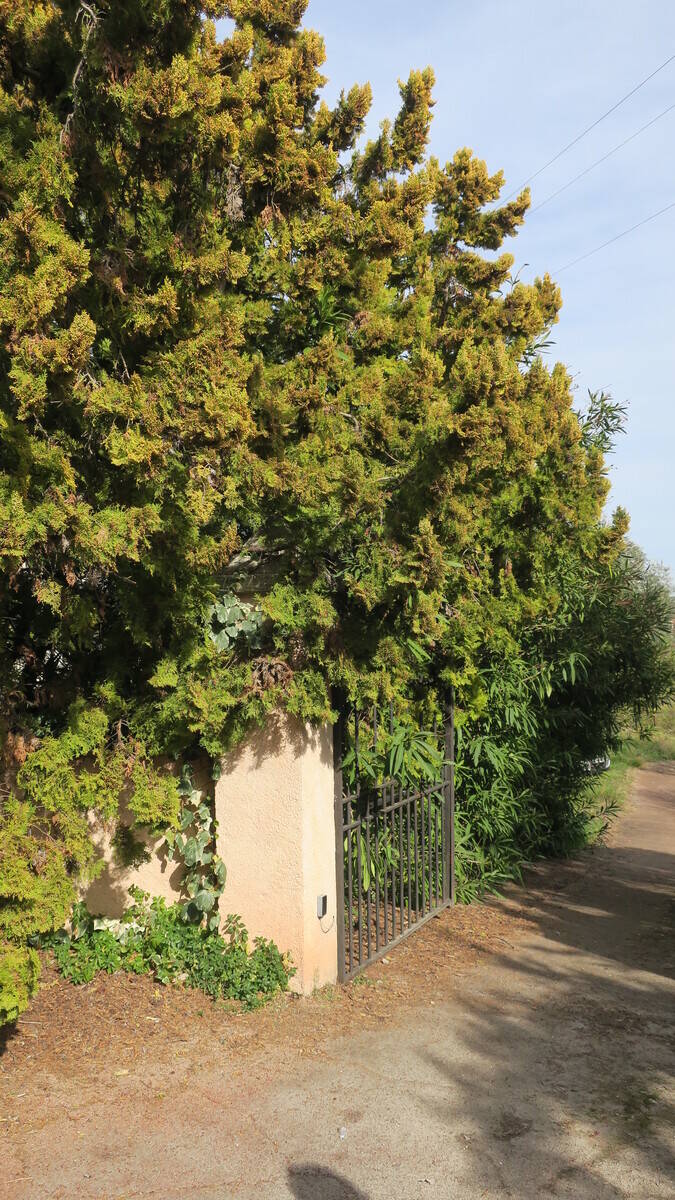 Grasse (06130)