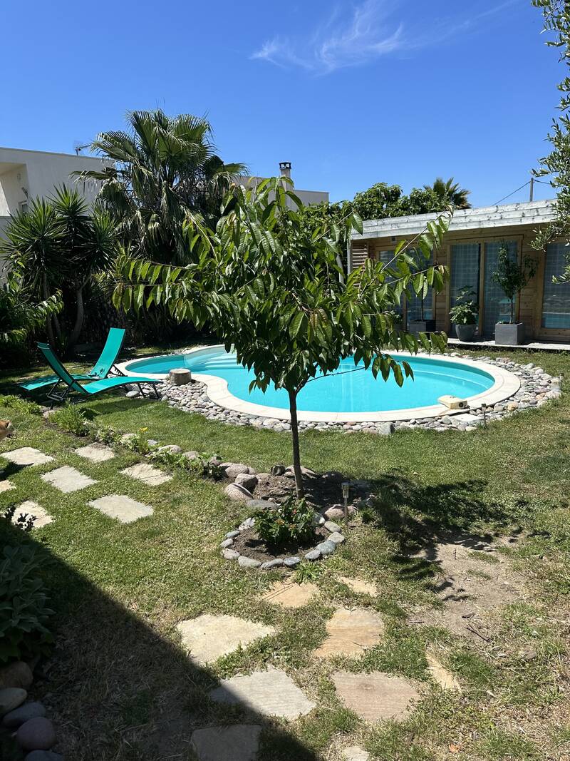 Calvi (20260)