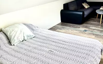 Maison À Vendre Lac Dse Bretonnières Joué-Lès-Tours (37300)