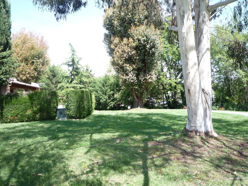 Mougins