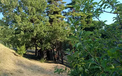 Saint-Péray (07130)