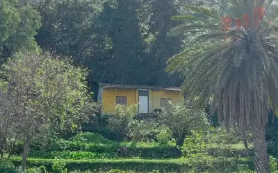 Tichy -Algérie