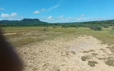 Madagascar