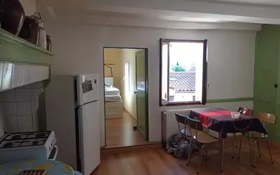 Millau (12100)
