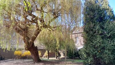 Vente appartement 4 pièces Douai (59500)