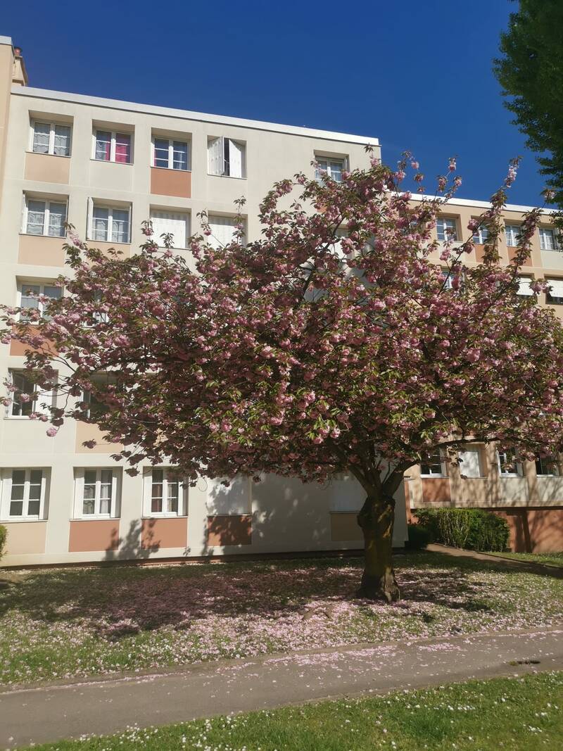 Créteil (94000)