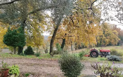 Sainte-Colombe (33350)