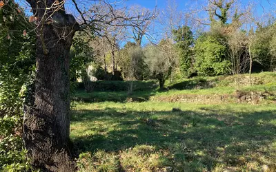 Lodève (34700)