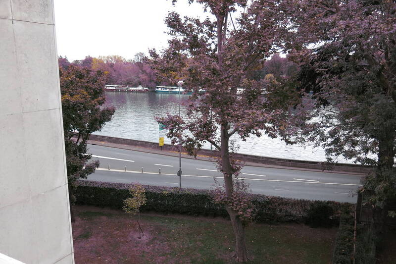 Suresnes (92150)