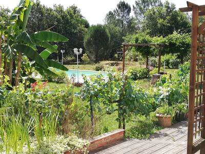 Vente maison 5 pièces Solférino (40210)