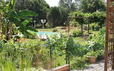 Solférino (40210)