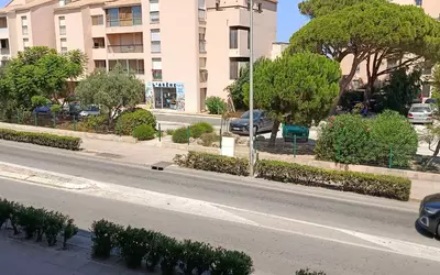 Calvi (20260)