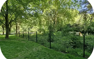 Lille (59000)