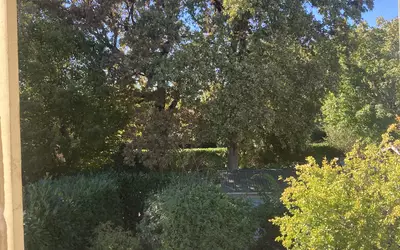 Talence (33400)