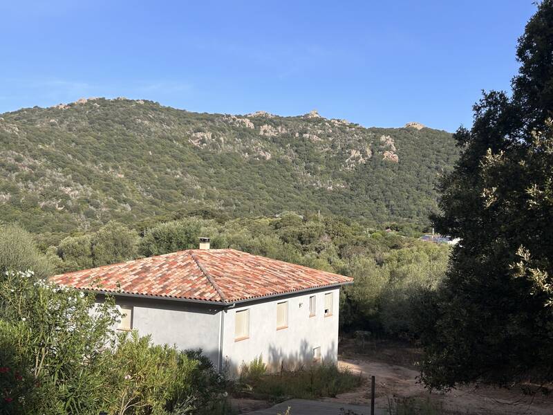 Figari (20114)