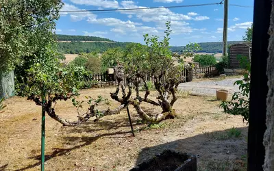 Châteauneuf (21320)