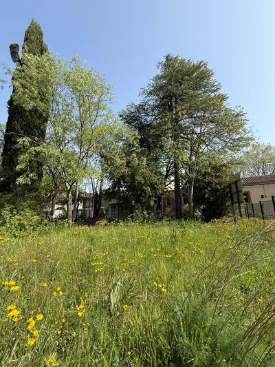 Vente maison 3 pièces Les Matelles (34270)