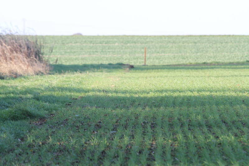 Beuvillers (54560)
