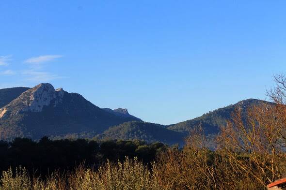 Brignoles (83170)