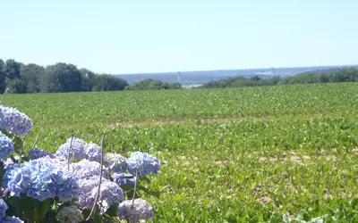 Saint-Jean-De-Folleville (76170)