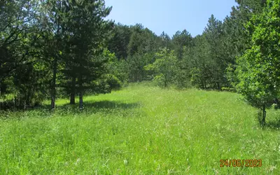 Serres (05700)