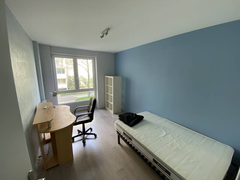 Rennes (35000)