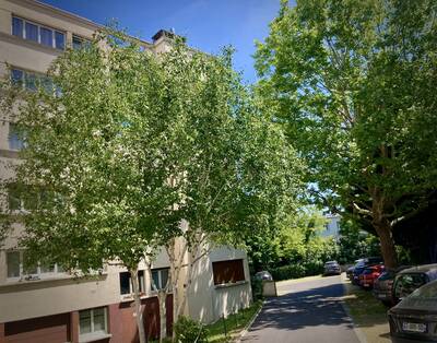 Vente appartement 4 pièces Fontenay-aux-Roses (92260)