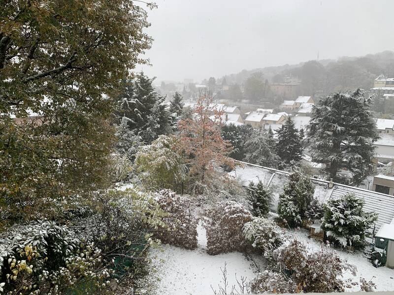 Le Plessis-Robinson (92350)