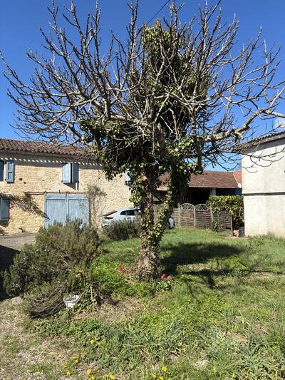 Vente maison 6 pièces Noailles (81170)