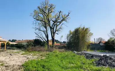 Pessac (33600)
