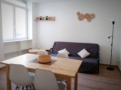 Location appartement studio Saint-Étienne (42)