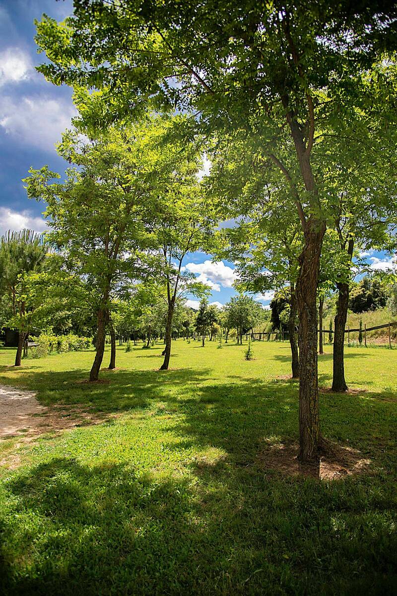 Uzès