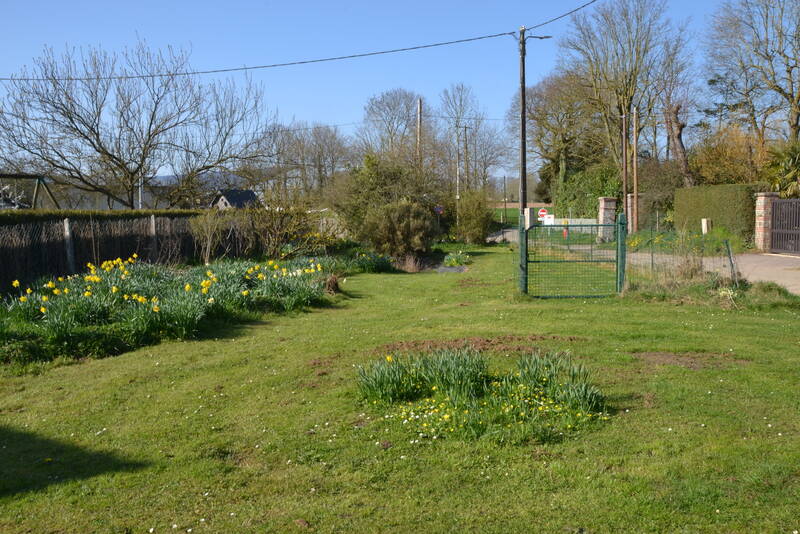 Lindebeuf (76760)